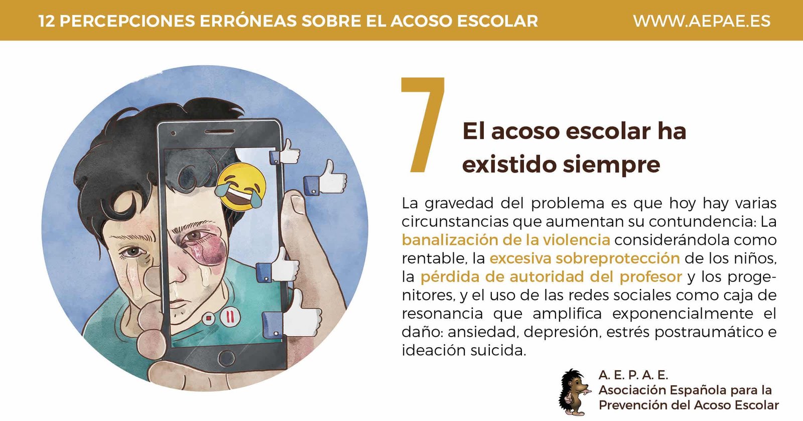 AEPAE | Campaña 2017-2018: Percepción errónea 3 AEPAE | Campaña 2017-2018: Percepción errónea 3