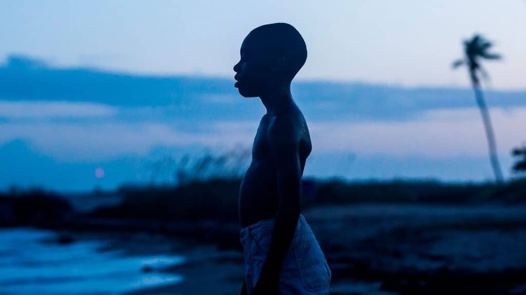 AEPAE - Cine sobre acoso escolar: «Moonlight» (2016)