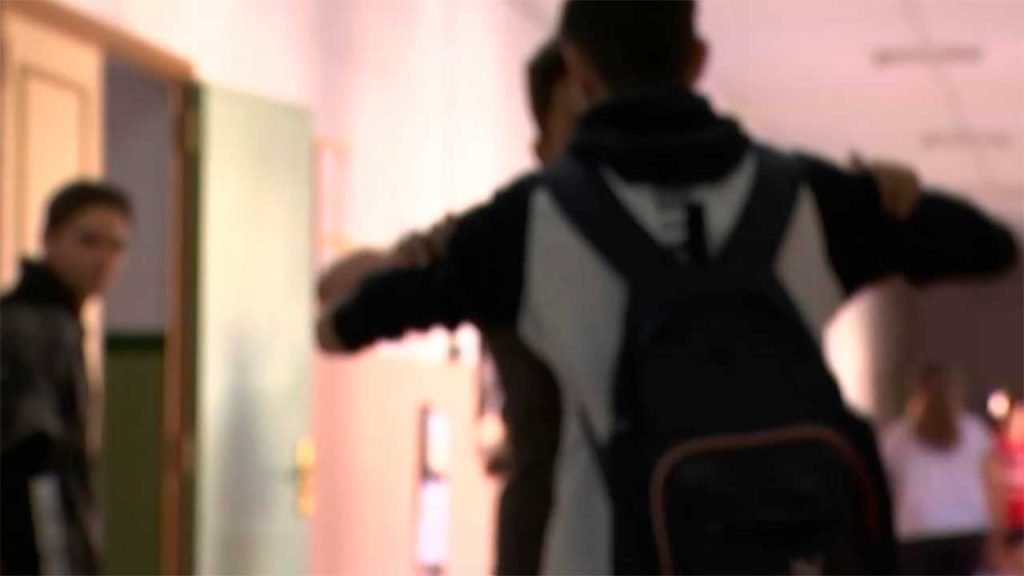 AEPAE en los medios durante el «Día Internacional contra la Violencia y el Acoso Escolar»